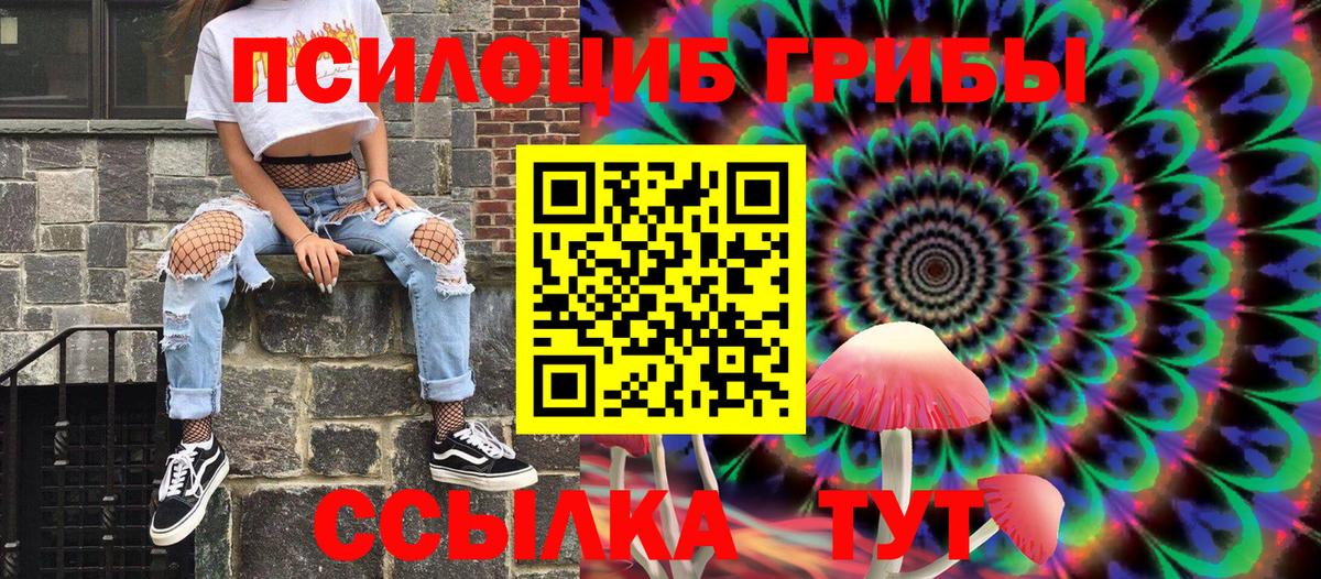 Волжск  Галлюциногенные грибы Psilocybine cubensis  Вход с VPN 